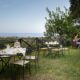 tuin van verblijf groene omgeving fly en drive sicilie